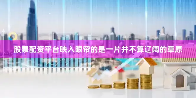 股票配资平台映入眼帘的是一片并不算辽阔的草原