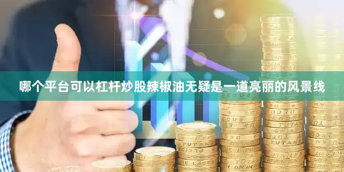 哪个平台可以杠杆炒股辣椒油无疑是一道亮丽的风景线