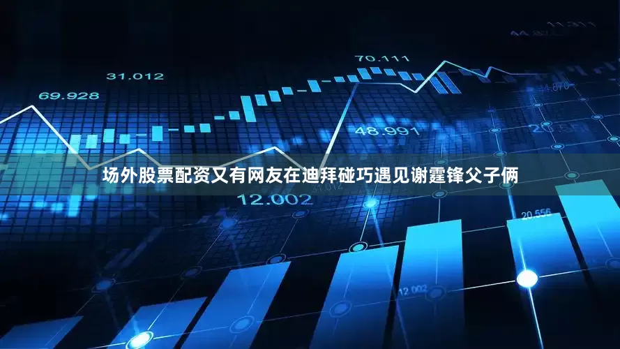 场外股票配资又有网友在迪拜碰巧遇见谢霆锋父子俩