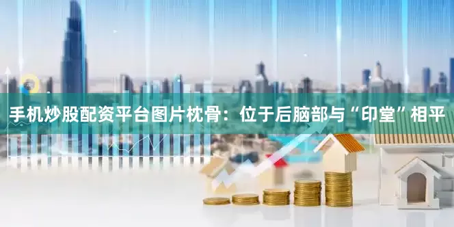 手机炒股配资平台图片枕骨：位于后脑部与“印堂”相平
