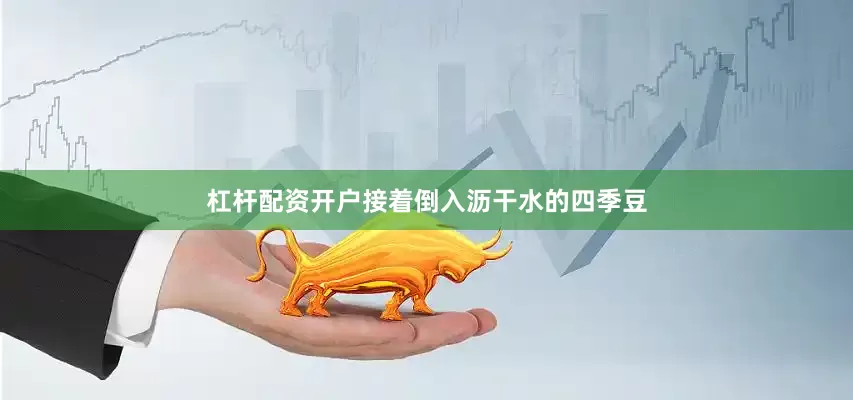 杠杆配资开户接着倒入沥干水的四季豆