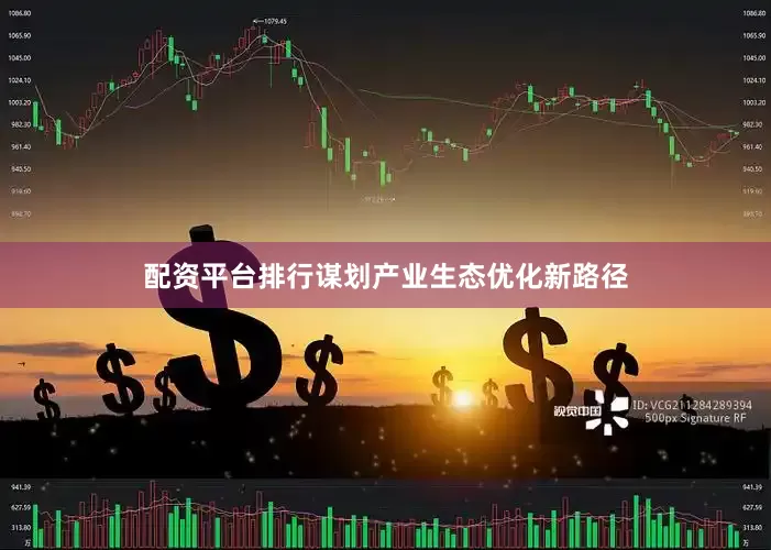 配资平台排行谋划产业生态优化新路径