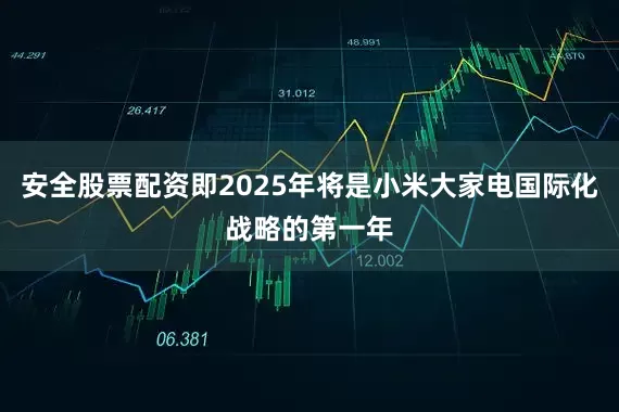 安全股票配资即2025年将是小米大家电国际化战略的第一年