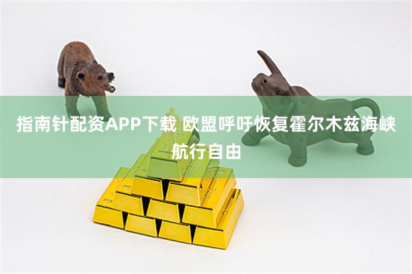 指南针配资APP下载 欧盟呼吁恢复霍尔木兹海峡航行自由