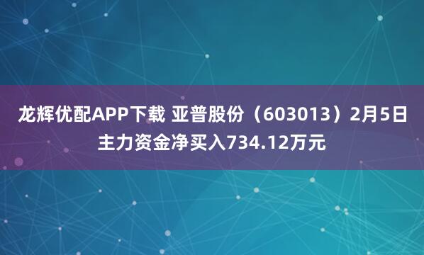 龙辉优配APP下载 亚普股份（603013）2月5日主力资金净买入734.12万元
